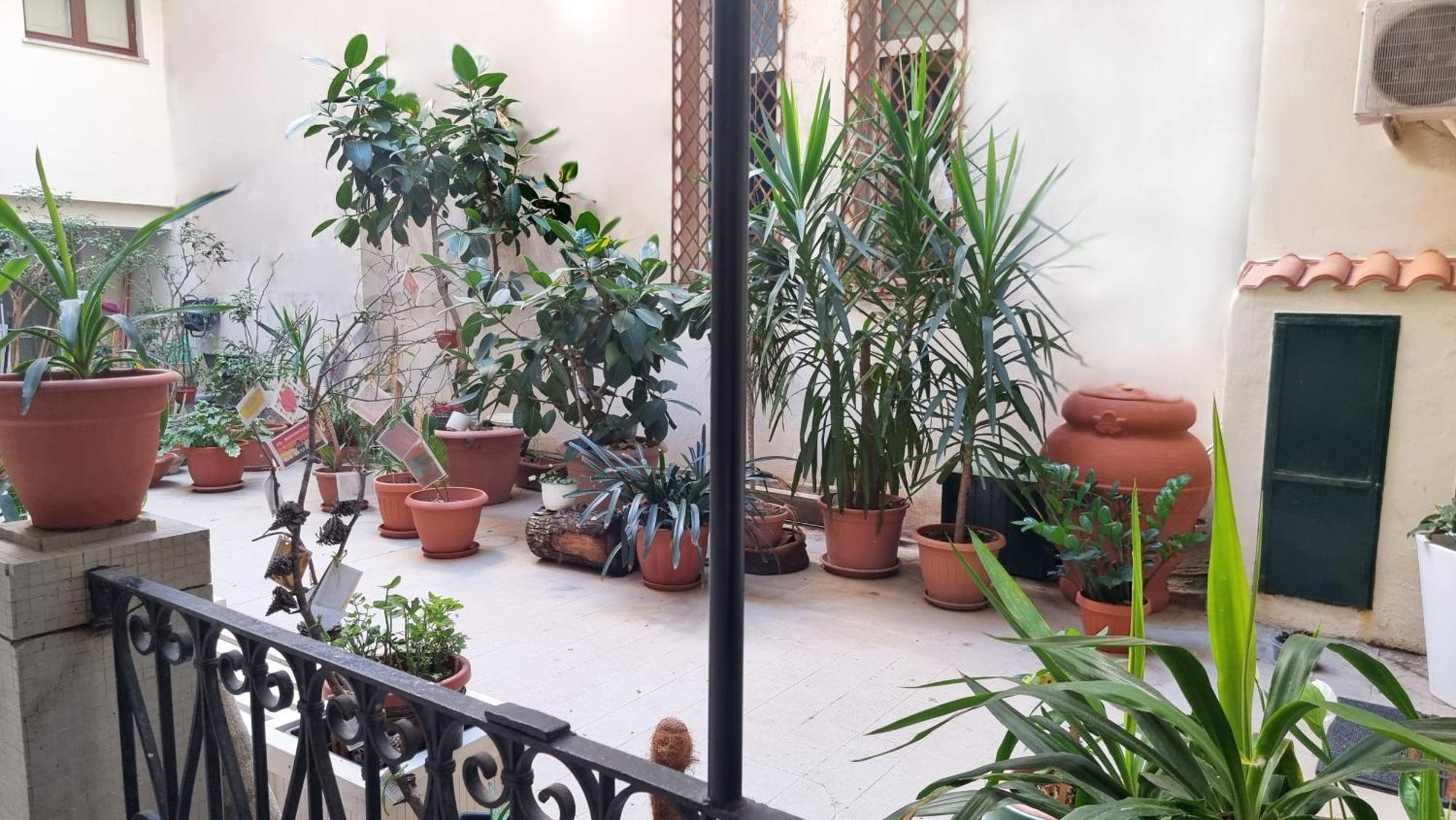 Loft Magna Grecia Reggio Calabria Centro Storico A 3 Minuti A Piedi Dal Mare Lejlighed Eksteriør billede
